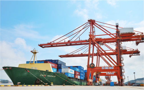 ��ӯVI״Ԫ᮸���ֹ�˾