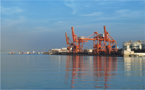 ��ӯVI��Ч�����޹�˾